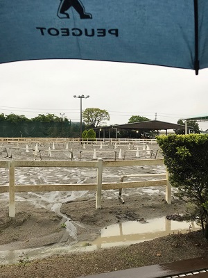 雨の日の主役☆