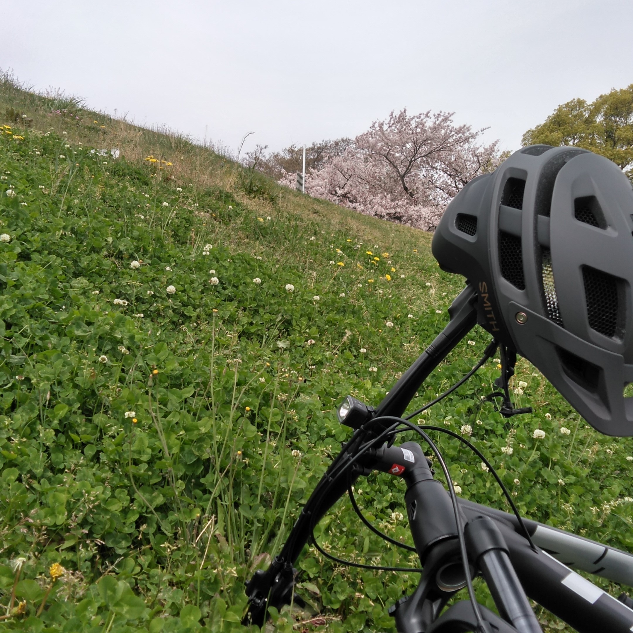 お車の調子はいかがでしょうか。