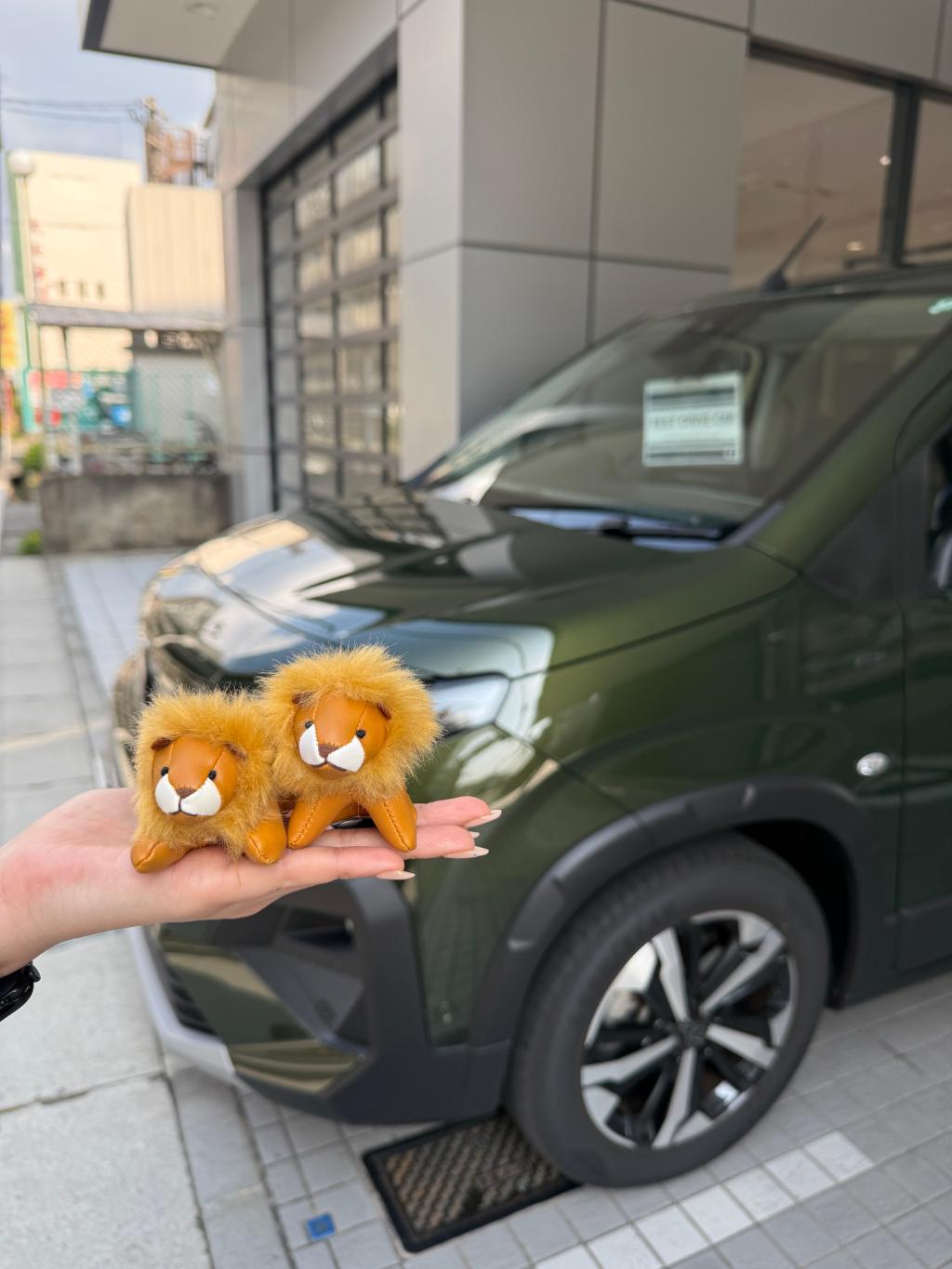 試乗車のご案内