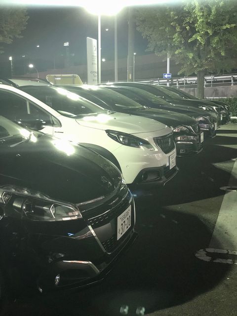 ショールーム改装中ですが・・・