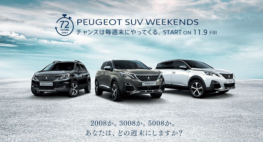 たむらの猫？ブログ 45