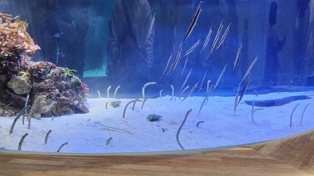 初めまして！深見です！！