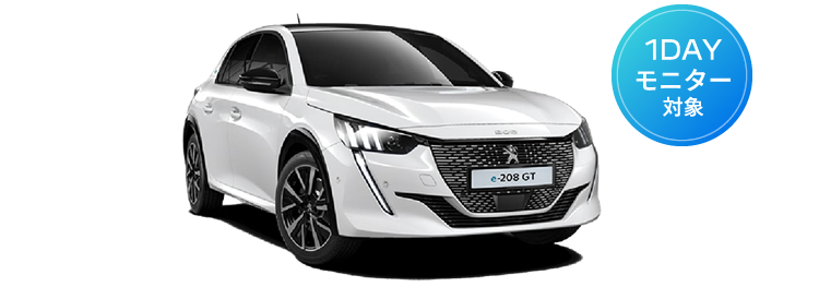 e-208 GT